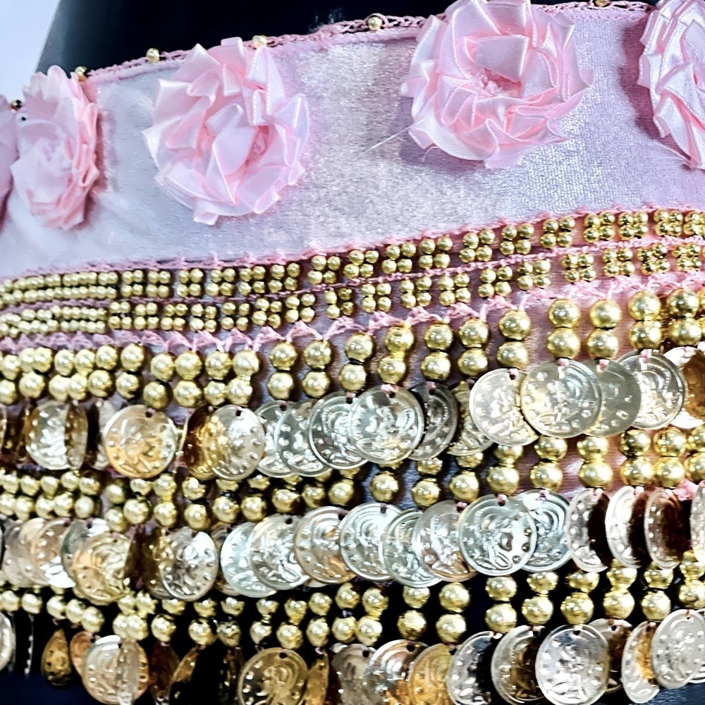 Belly Dance Skirt with Gold Coins and Rose Petals - Picture 5 of 8